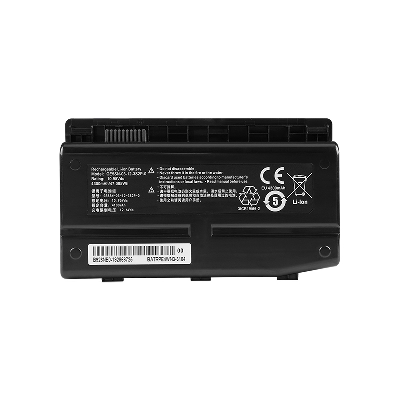 (image for) GE5SN-03-12-3S2P-0 GE5SN-00-01-3S2P-1 NFSV151X-00-03-3S2P-0 Battery Replacement