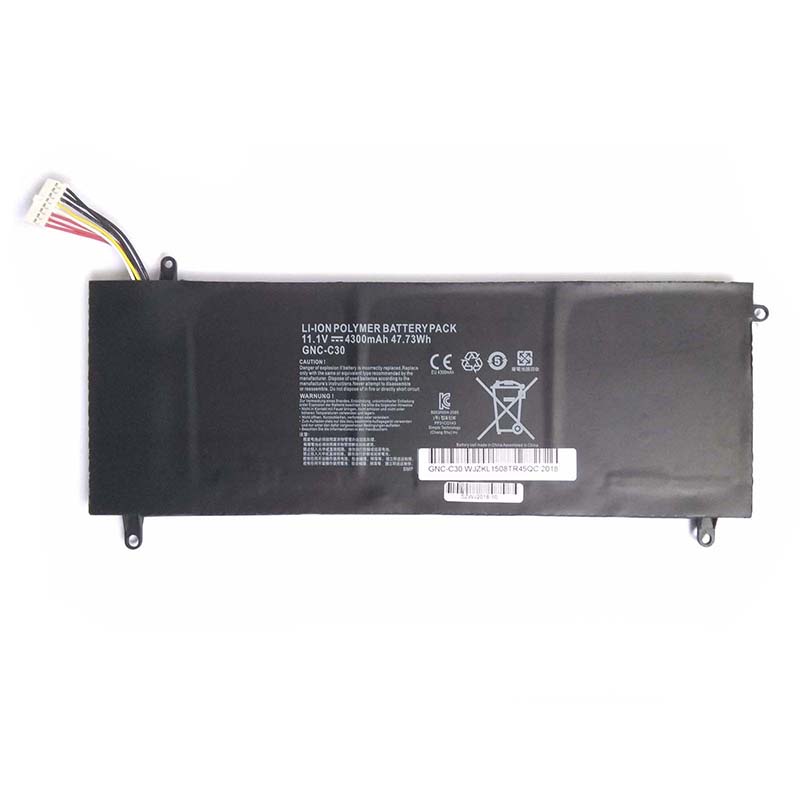 (image for) GNC-C30 Battery Replacement 961TA002F Fit Gigabyte U2442 U24F P34G V2 Schenker XMG C404